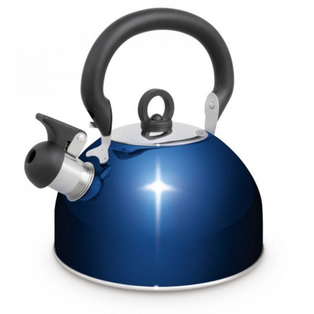 Campfire Whistling Kettle Stainless Steel 2.5L Blue
