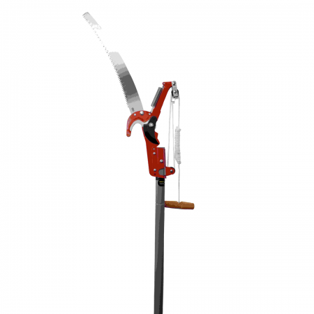 Professional Compound-Action Tree Pruner