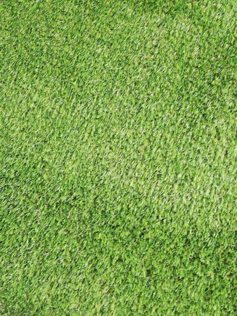 Artificial Grass Roll 25 x 2m